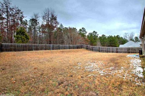 24 Penny Ln, Alexander, AR 72002 photo 34