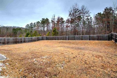 24 Penny Ln, Alexander, AR 72002 photo 38