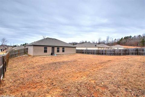 24 Penny Ln, Alexander, AR 72002 photo 37