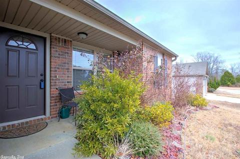 24 Penny Ln, Alexander, AR 72002 photo 4