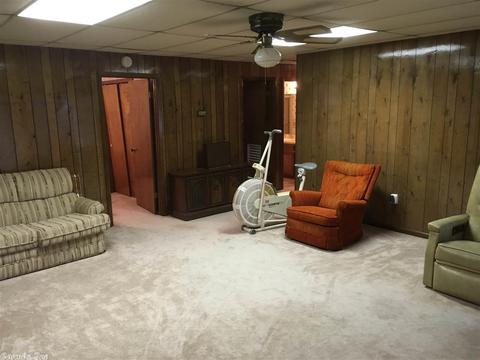 270 Valhalla Dr, Edgemont, AR 72044 photo 23