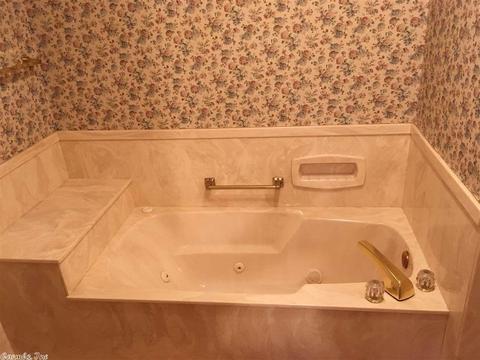 270 Valhalla Dr, Edgemont, AR 72044 photo 10