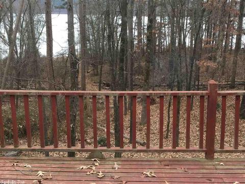 270 Valhalla Dr, Edgemont, AR 72044 photo 7