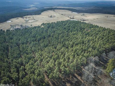 848 Evans Mountain Rd, Clinton, AR 72031 photo 18