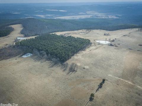 848 Evans Mountain Rd, Clinton, AR 72031 photo 22