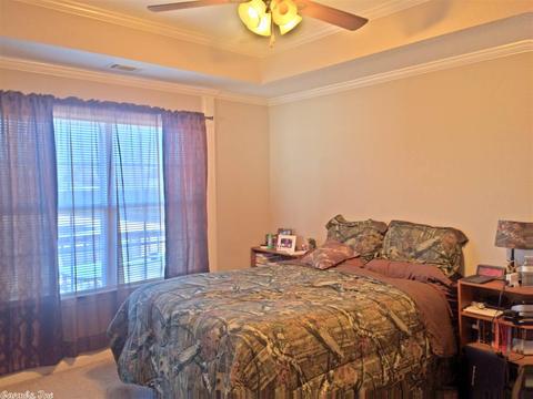 217 Peyton, Ward, AR 72176 photo 11