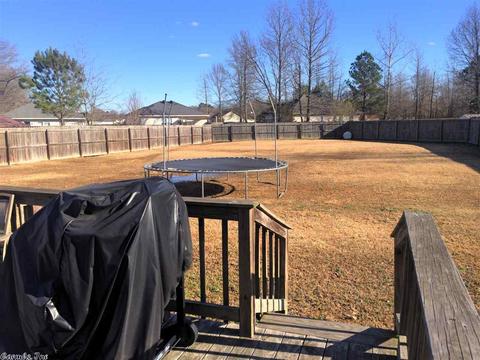 217 Peyton, Ward, AR 72176 photo 24