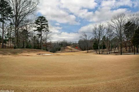 301 Cobblestone, Cabot, AR 72023 photo 40