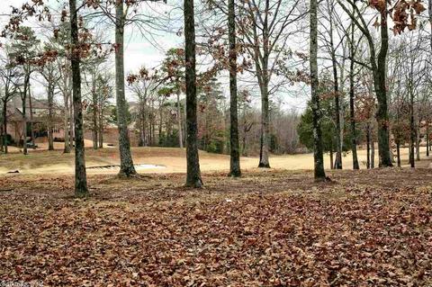 301 Cobblestone, Cabot, AR 72023 photo 39