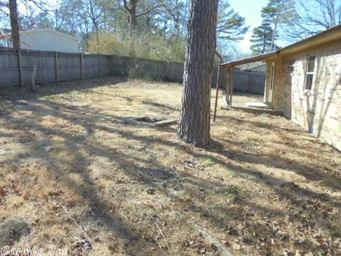 109 Circle Dr, Mount Ida, AR 71957 photo 5