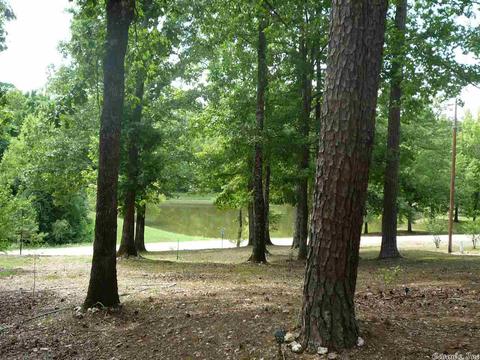 11 Jones Ln, Mount Ida, AR 71957 photo 5