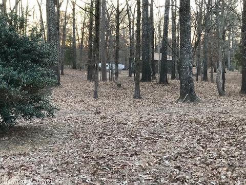 1726 Azalea Hls, Pine Bluff, AR 71602 photo 18