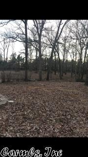 1726 Azalea Hls, Pine Bluff, AR 71602 photo 3