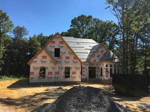 2098 Mohegan Trl, Benton, AR 72019 photo 9