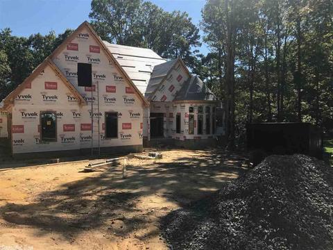 2098 Mohegan Trl, Benton, AR 72019 photo 11