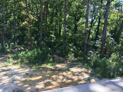 2098 Mohegan Trl, Benton, AR 72019 photo 13