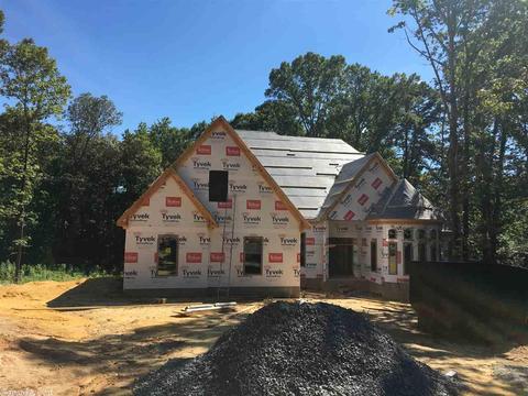2098 Mohegan Trl, Benton, AR 72019 photo 8