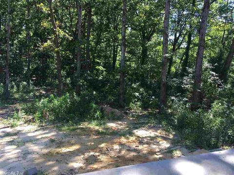 2098 Mohegan Trl, Benton, AR 72019 photo 15