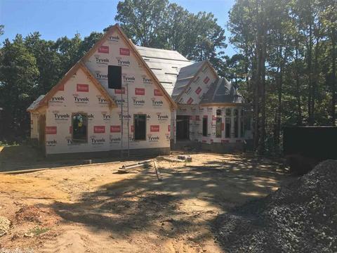 2098 Mohegan Trl, Benton, AR 72019 photo 12