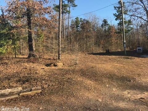 49 Harold Bartlett, Quitman, AR 72131 photo 2