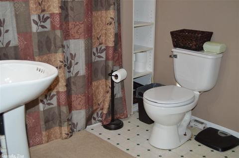 123 Nottingham Dr, Dierks, AR 71833 photo 9