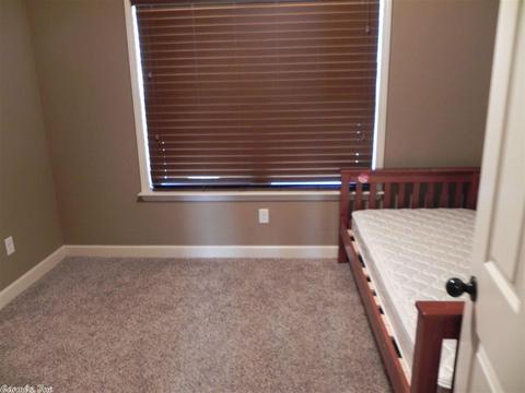 747 Mango Loop, Austin, AR 72007 photo 20