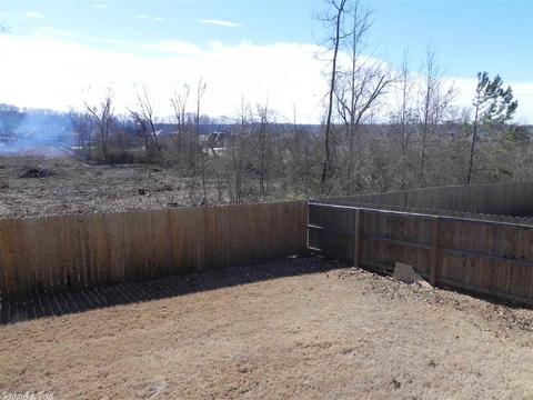 747 Mango Loop, Austin, AR 72007 photo 25