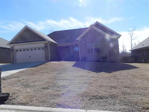 747 Mango Loop, Austin, AR 72007 photo 31