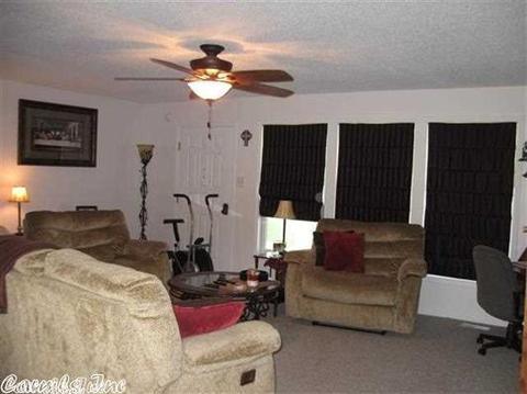 12 Diane Ave, Ash Flat, AR 72513 photo 12