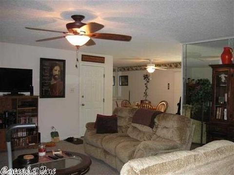 12 Diane Ave, Ash Flat, AR 72513 photo 3