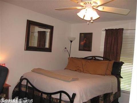 12 Diane Ave, Ash Flat, AR 72513 photo 7