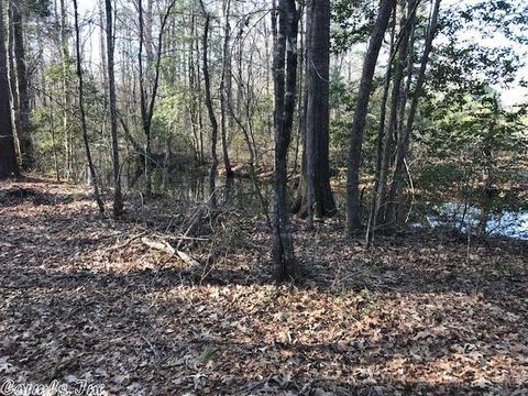 4887 Grant 18, Pine Bluff, AR 71603 photo 11