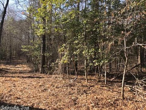 4887 Grant 18, Pine Bluff, AR 71603 photo 8