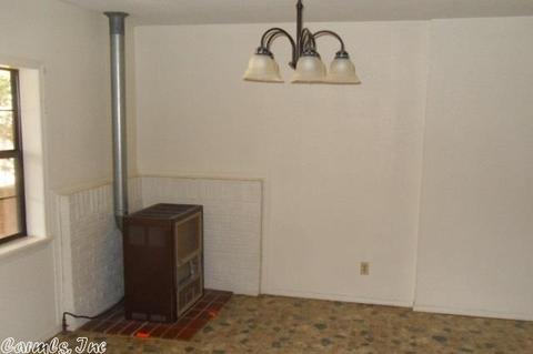 253 Polk 50, Mena, AR 71953 photo 6