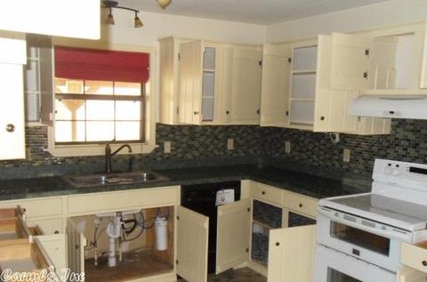 253 Polk 50, Mena, AR 71953 photo 5