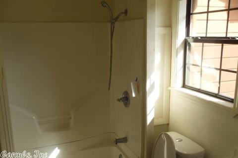 253 Polk 50, Mena, AR 71953 photo 12
