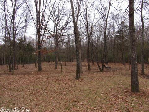 1710 Camp Dr, Cabot, AR 72023 photo 8