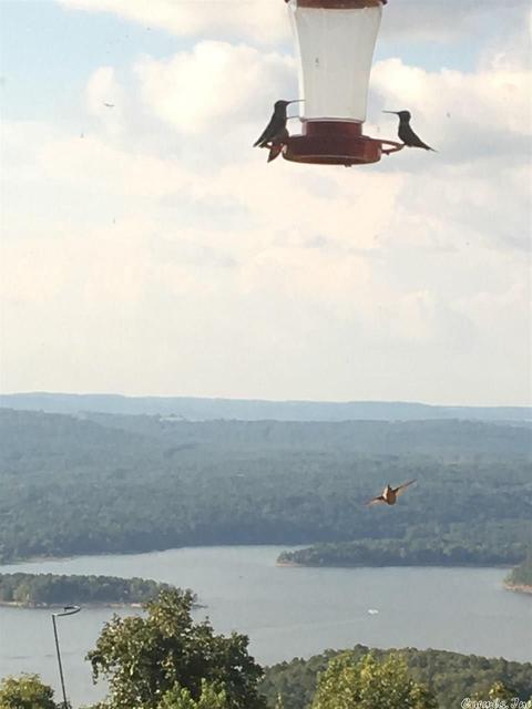 196 Lookout Pt, Bee Branch, AR 72031 photo 39