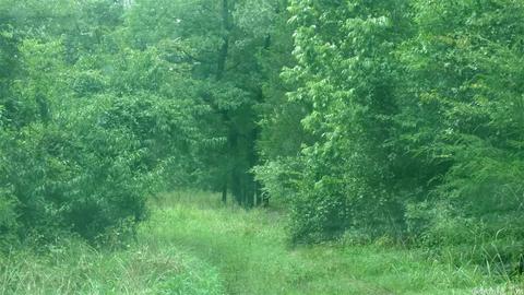 144 Morrison, Concord, AR 72523 photo 2