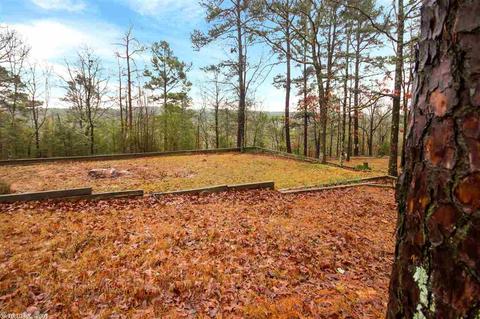 48 Crestview, Conway, AR 72034 photo 25