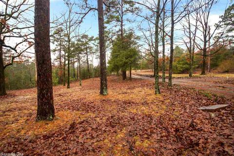 48 Crestview, Conway, AR 72034 photo 28