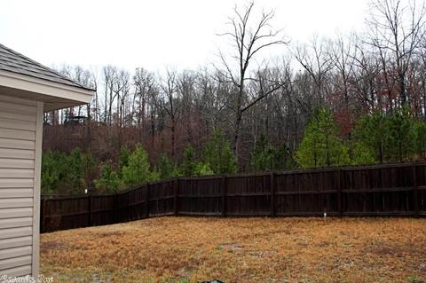 3976 Eastern Slope Dr, Alexander, AR 72002 photo 32