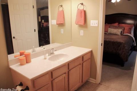 3976 Eastern Slope Dr, Alexander, AR 72002 photo 19