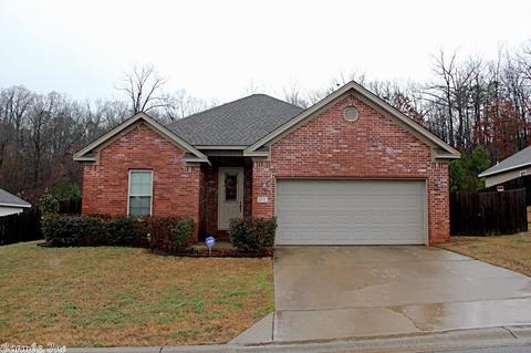3976 Eastern Slope Dr, Alexander, AR 72002 photo 1