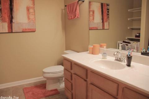 3976 Eastern Slope Dr, Alexander, AR 72002 photo 18