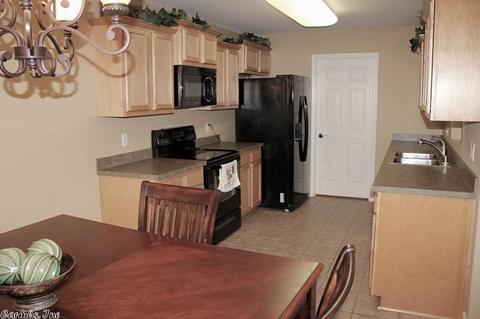 3976 Eastern Slope Dr, Alexander, AR 72002 photo 11