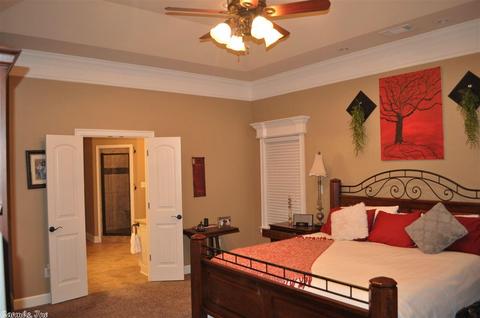 8120 Castlestone Cv, Alexander, AR 72002 photo 15