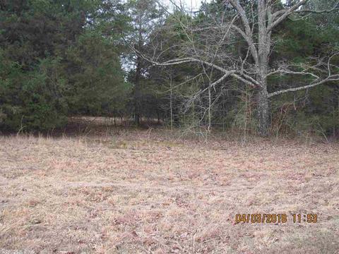 417 White, Rose Bud, AR 72137 photo 26