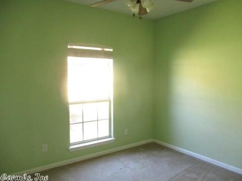 13523 Melrose Dr, Alexander, AR 72002 photo 5