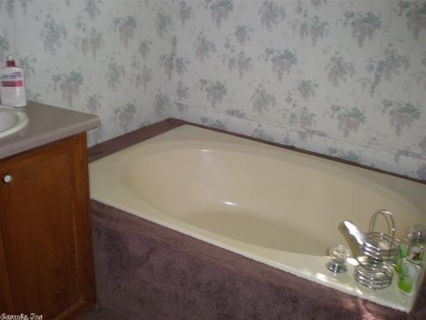 25 Lois Ln, Higden, AR 72067 photo 17